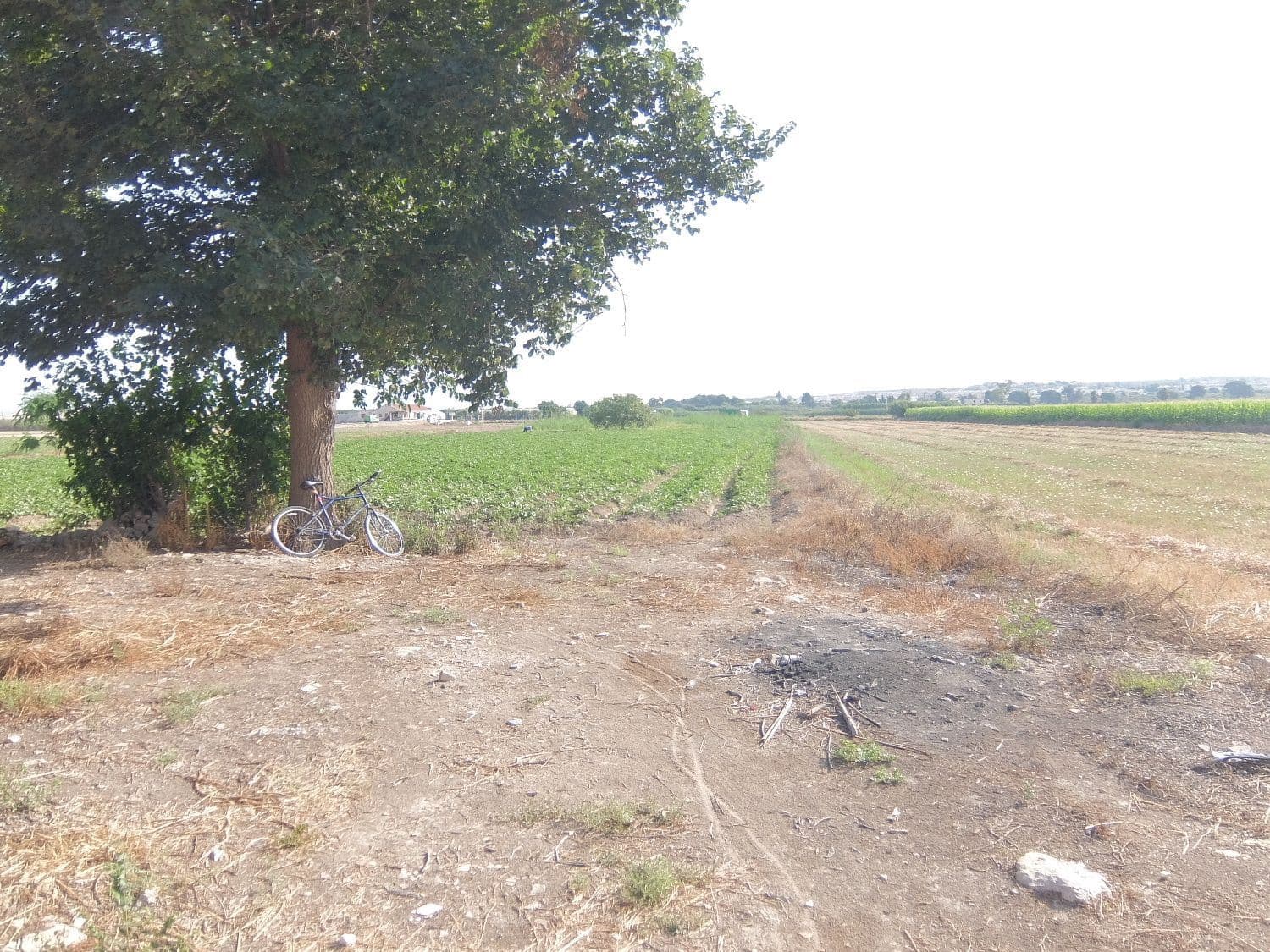 Quinta/Casa Rural para venda em San Fulgencio - 65 000 € (Ref: 5420264)