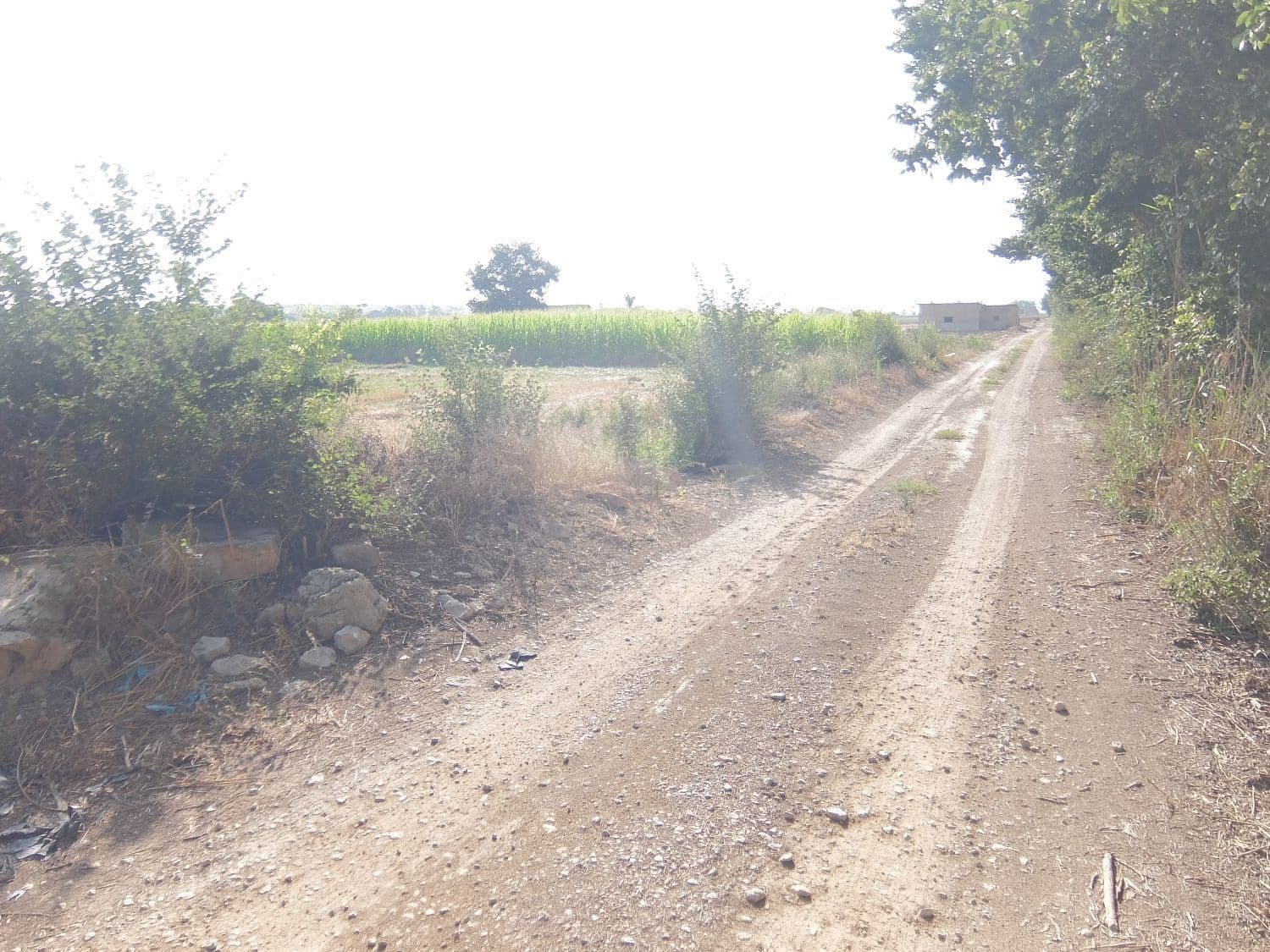 Quinta/Casa Rural para venda em San Fulgencio - 65 000 € (Ref: 5420264)