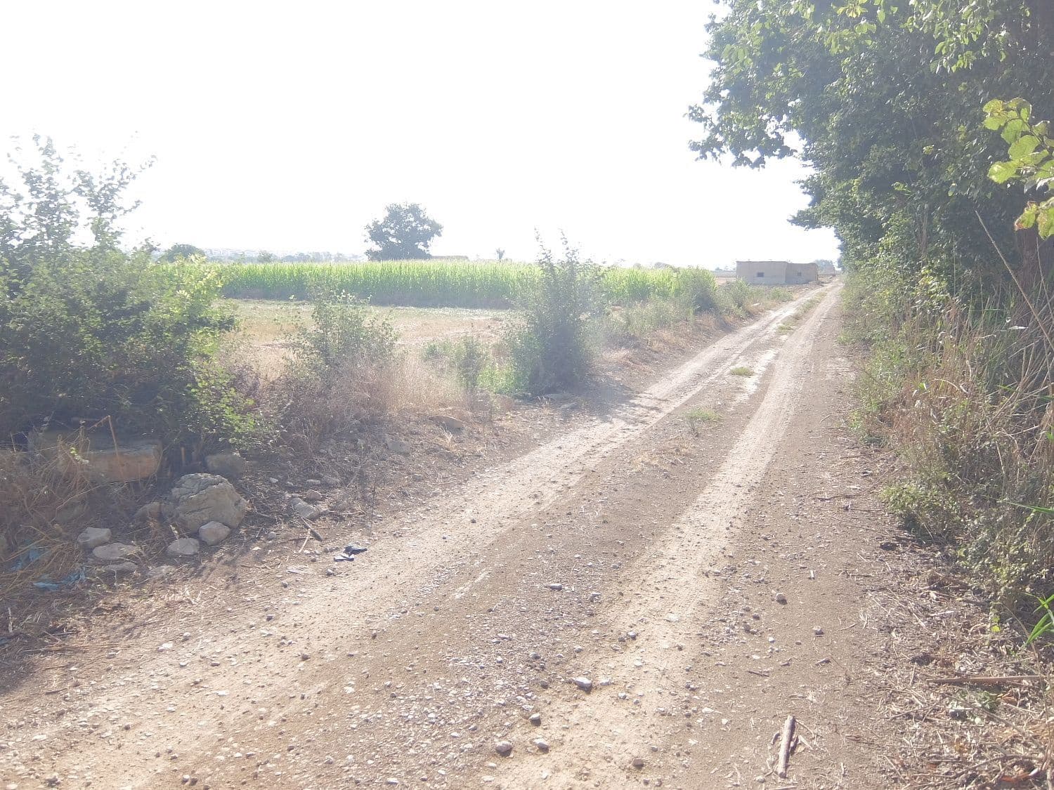 Quinta/Casa Rural para venda em San Fulgencio - 65 000 € (Ref: 5420264)