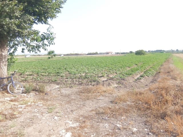 Quinta/Casa Rural para venda em San Fulgencio - 65 000 € (Ref: 5420264)