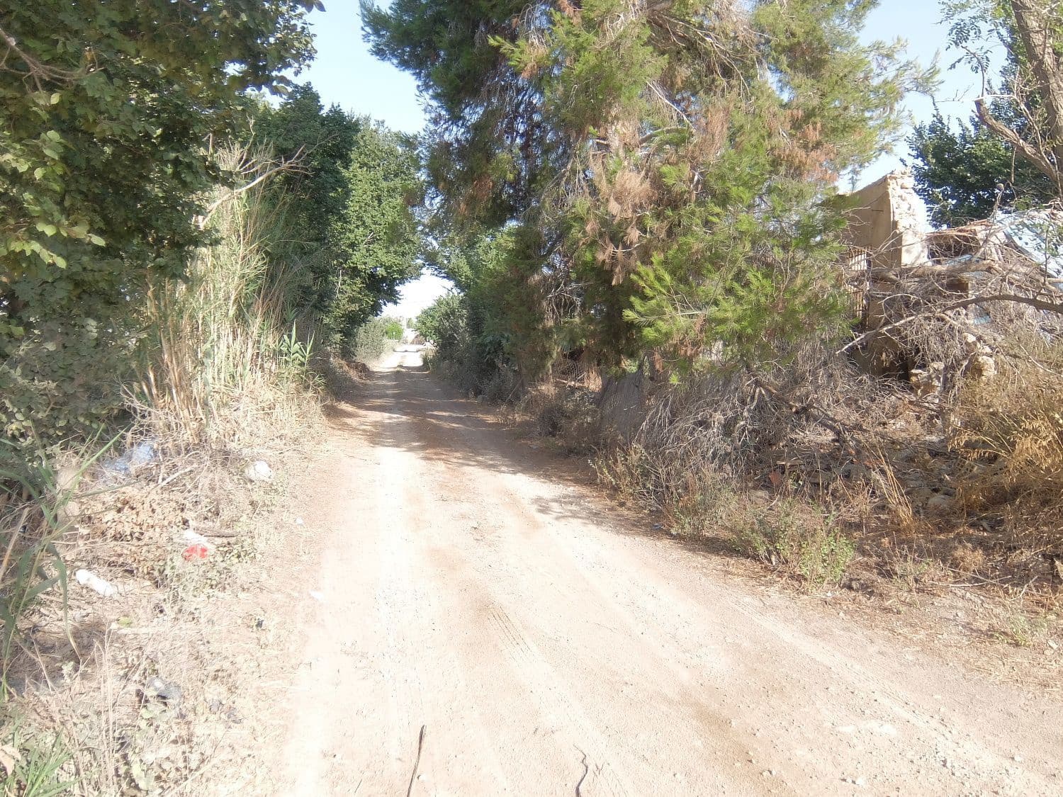 Quinta/Casa Rural para venda em San Fulgencio - 65 000 € (Ref: 5420264)