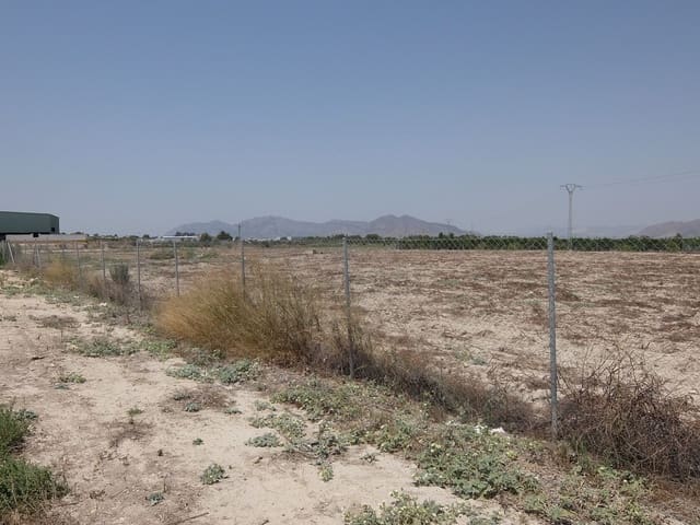Undeveloped Land for sale in Desamparados - Hurchillo - Torremendo, Orihuela - € 235,000 (Ref: 5462751)