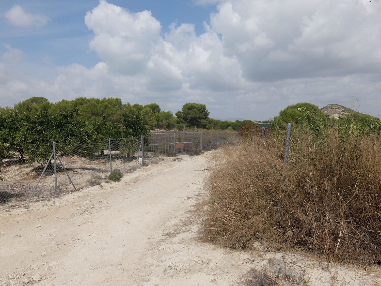 Grunde uden byggetilladelser til salg i San Miguel de Salinas - € 585.000 (Ref: 5469539)