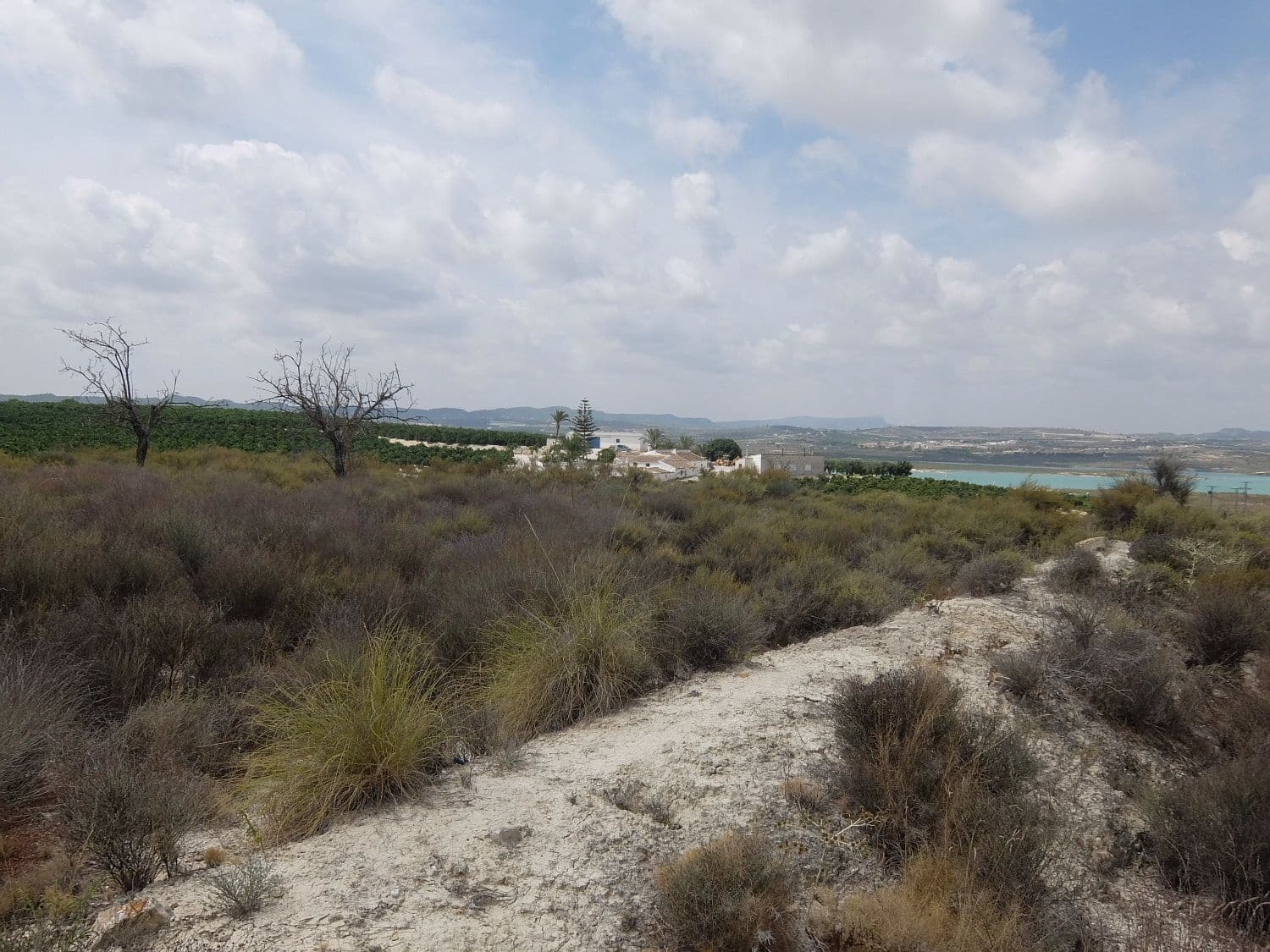 Grunde uden byggetilladelser til salg i San Miguel de Salinas - € 585.000 (Ref: 5469539)