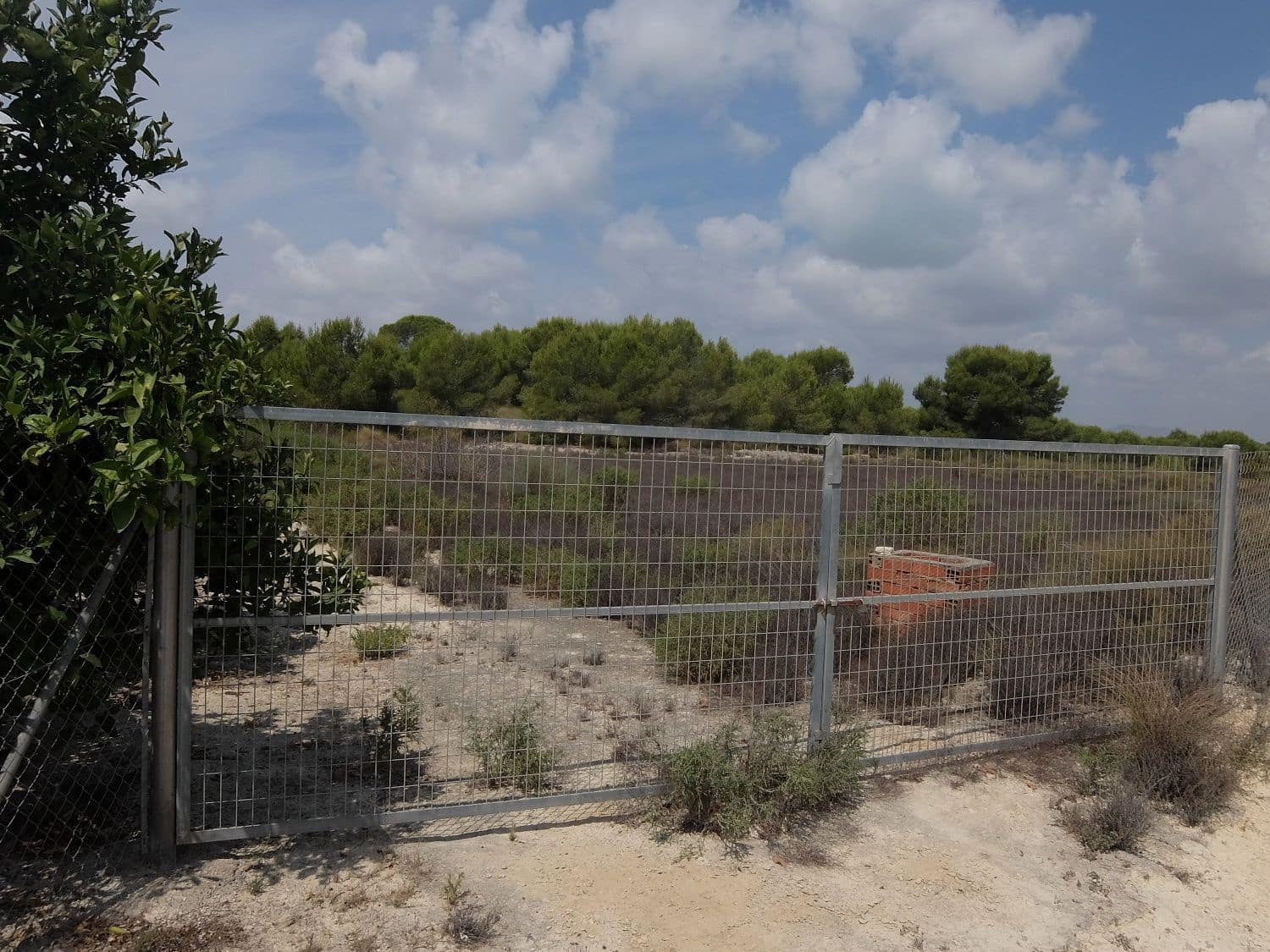 Grunde uden byggetilladelser til salg i San Miguel de Salinas - € 585.000 (Ref: 5469539)