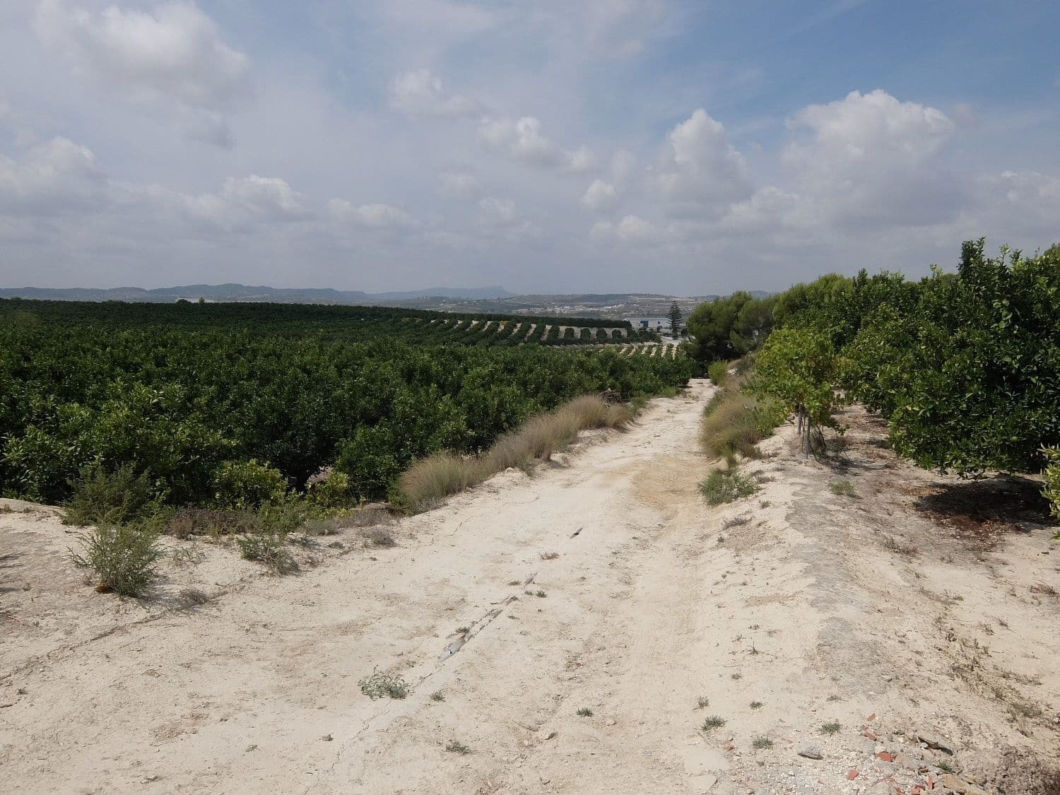 Grunde uden byggetilladelser til salg i San Miguel de Salinas - € 585.000 (Ref: 5469539)