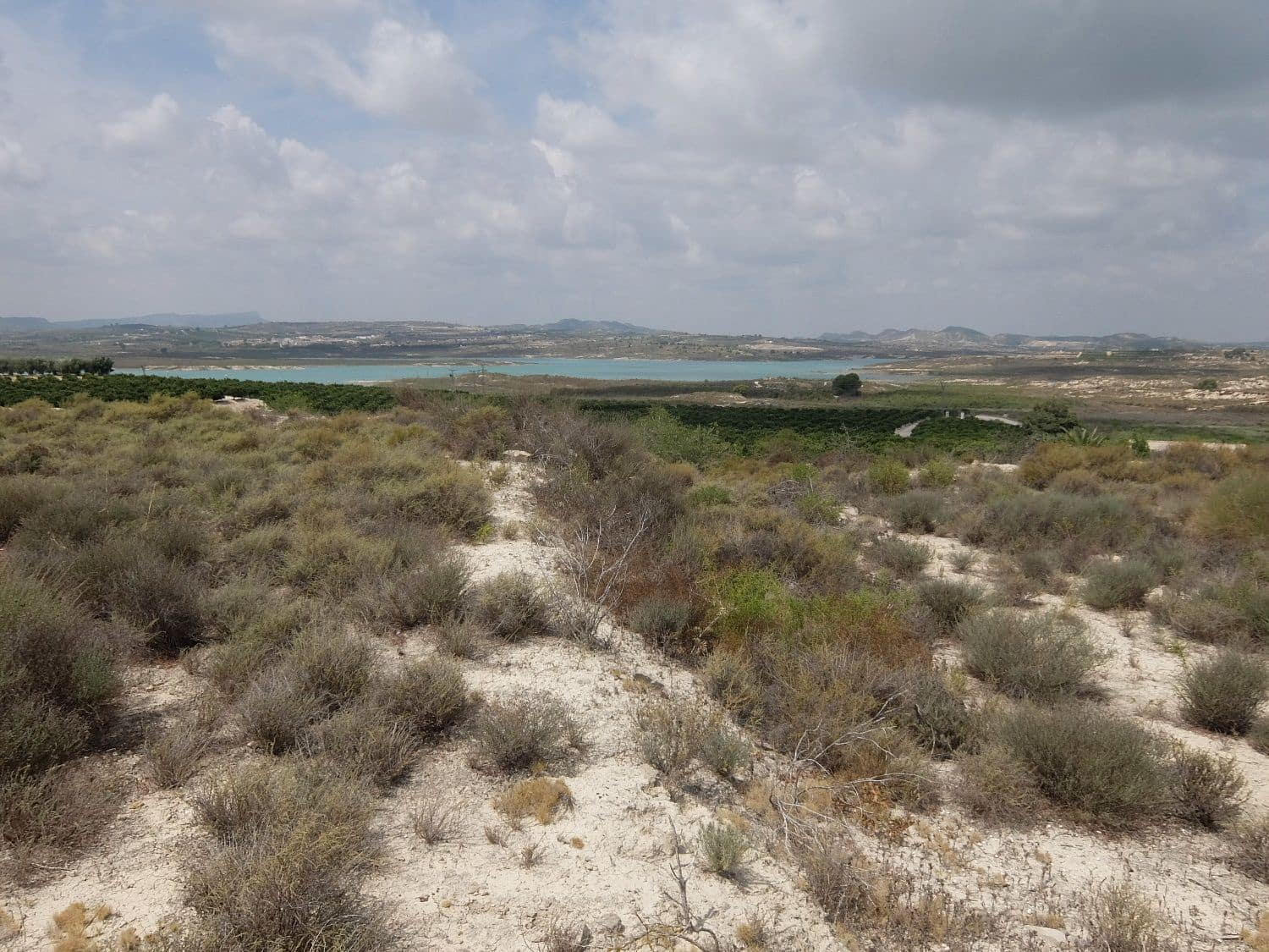 Grunde uden byggetilladelser til salg i San Miguel de Salinas - € 585.000 (Ref: 5469539)