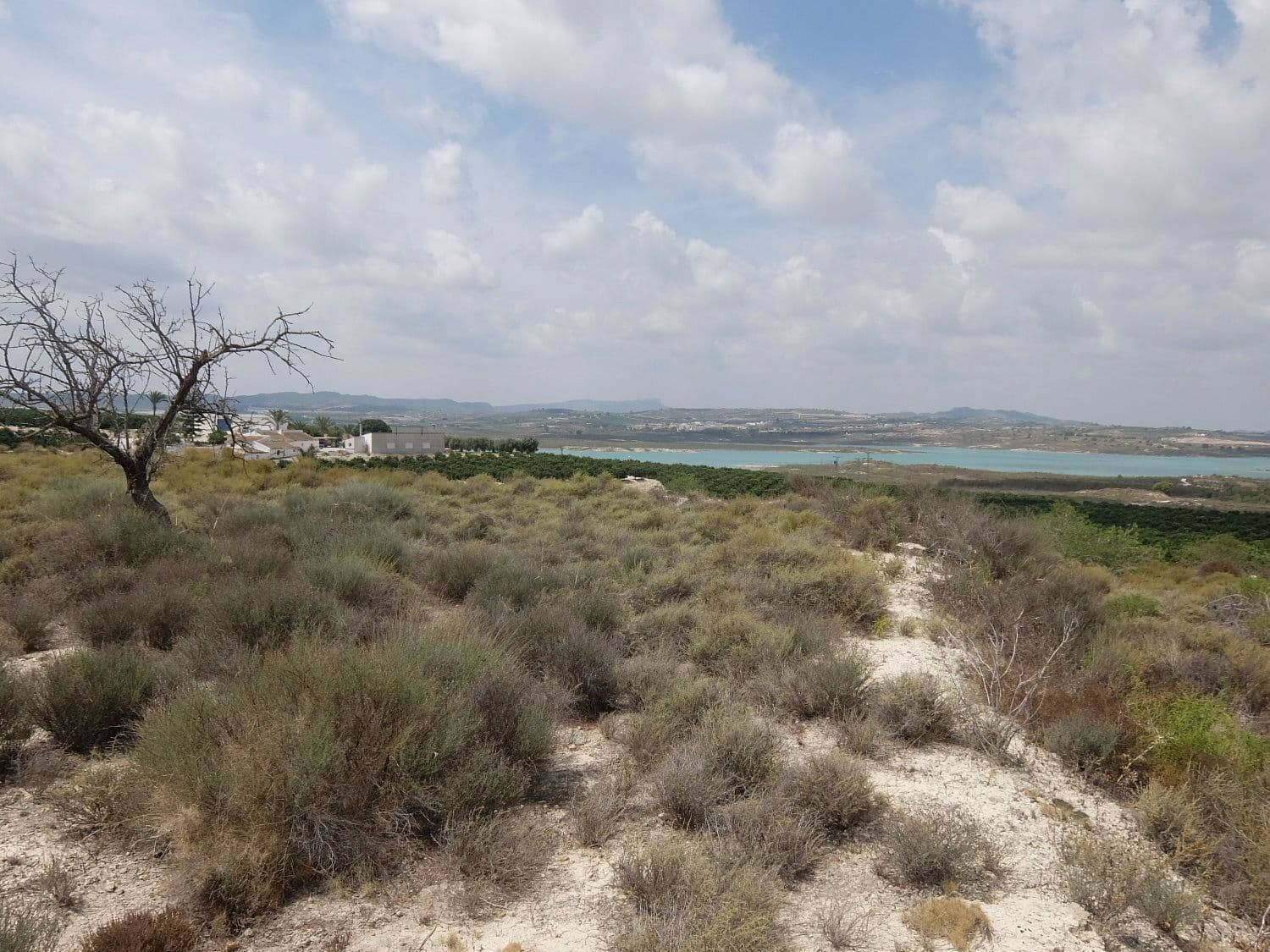 Grunde uden byggetilladelser til salg i San Miguel de Salinas - € 585.000 (Ref: 5469539)