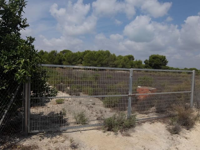 Grond te koop in San Miguel de Salinas - € 585.000 (Ref: 5469539)