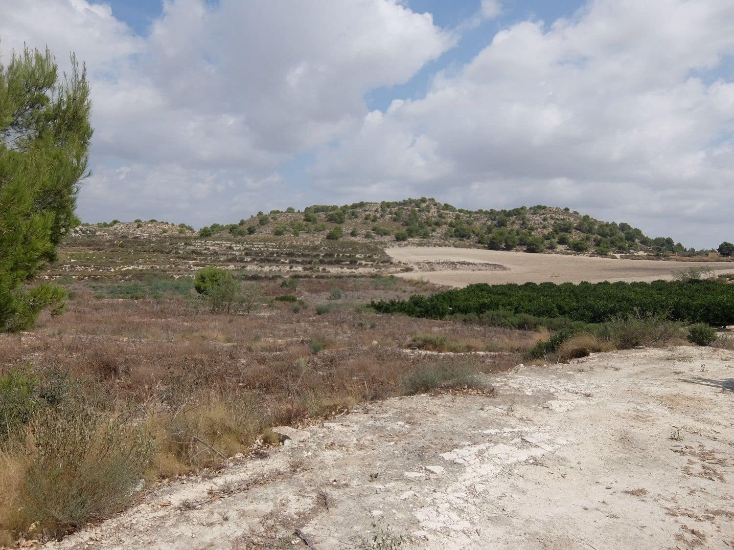 Grunde uden byggetilladelser til salg i San Miguel de Salinas - € 585.000 (Ref: 5469539)