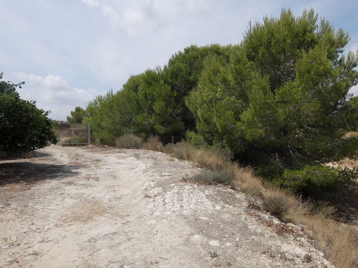 Grunde uden byggetilladelser til salg i San Miguel de Salinas - € 585.000 (Ref: 5469539)