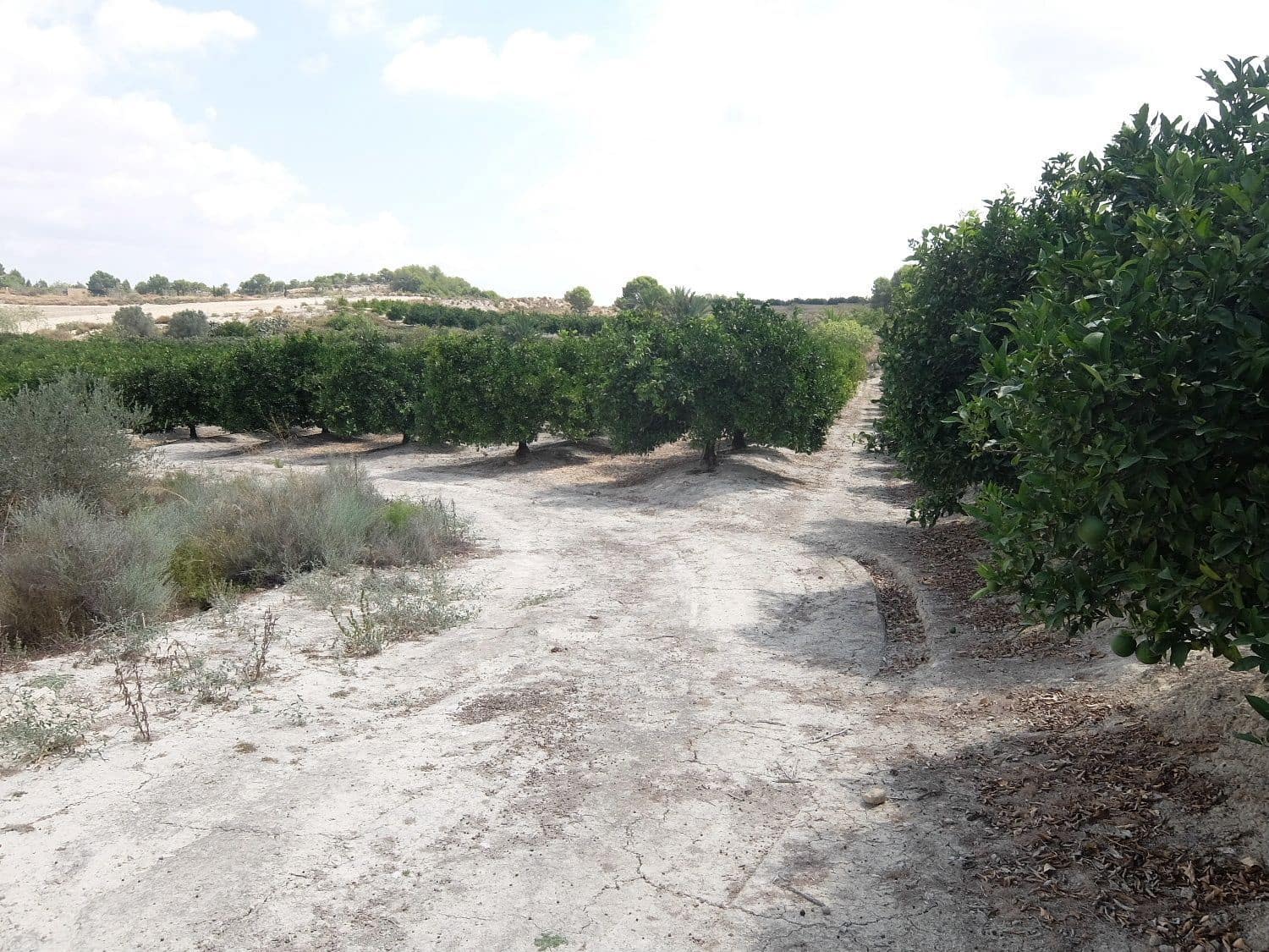 Grunde uden byggetilladelser til salg i San Miguel de Salinas - € 585.000 (Ref: 5469539)