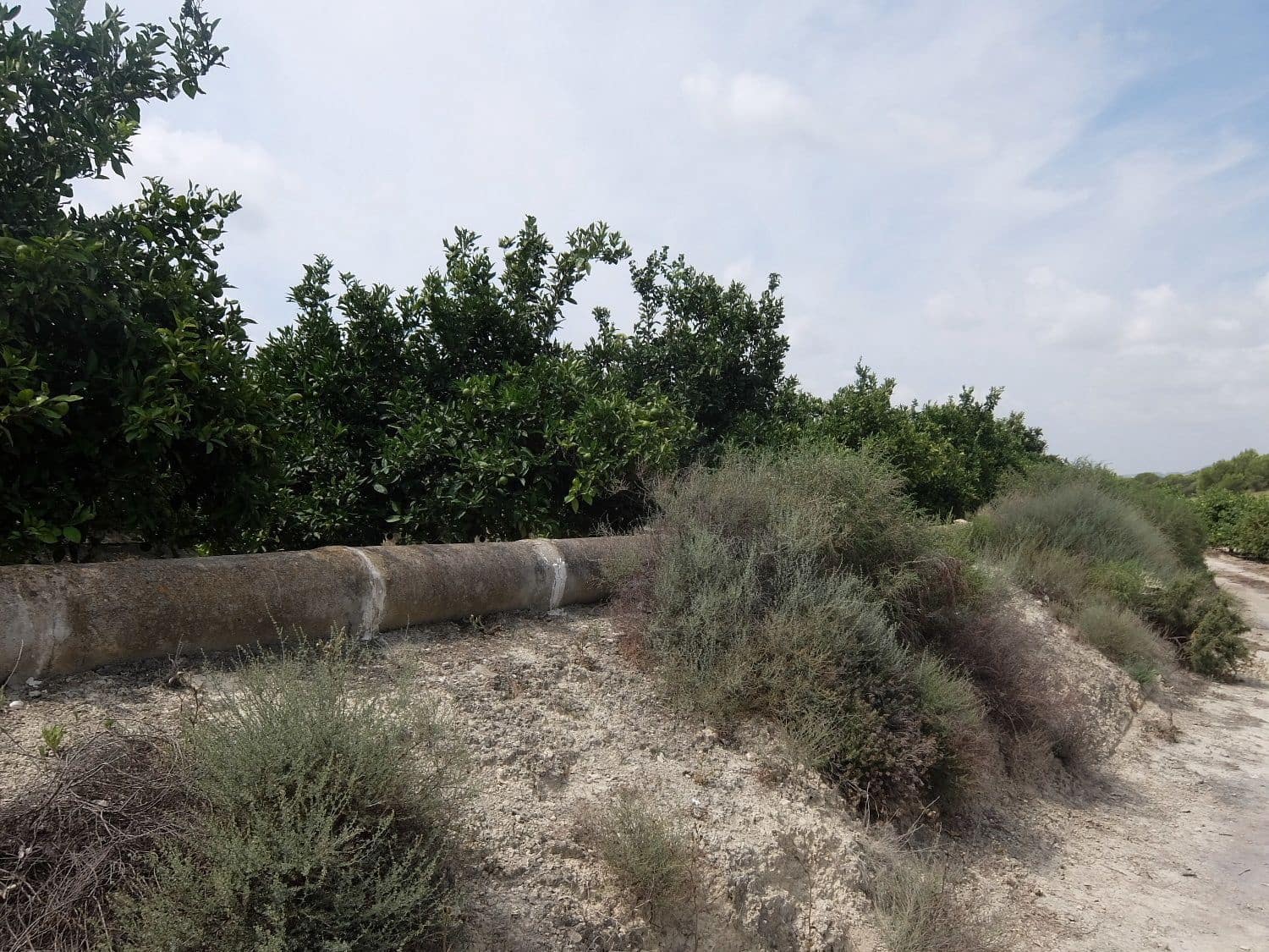 Grunde uden byggetilladelser til salg i San Miguel de Salinas - € 585.000 (Ref: 5469539)