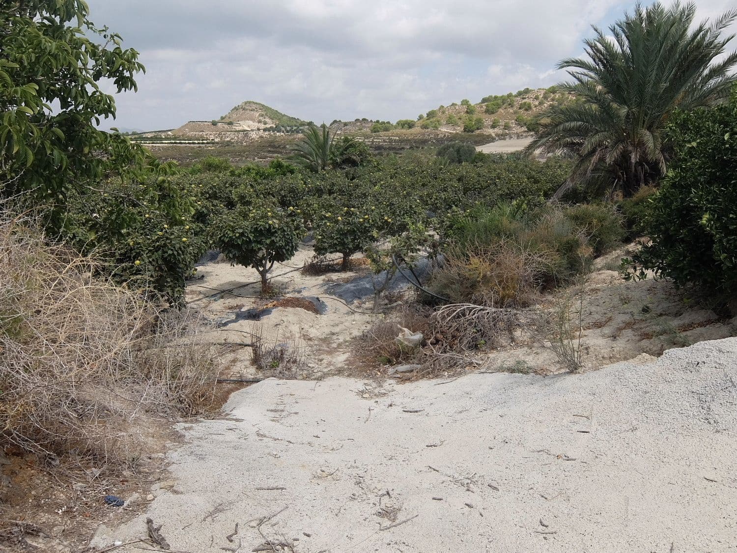 Grunde uden byggetilladelser til salg i San Miguel de Salinas - € 585.000 (Ref: 5469539)