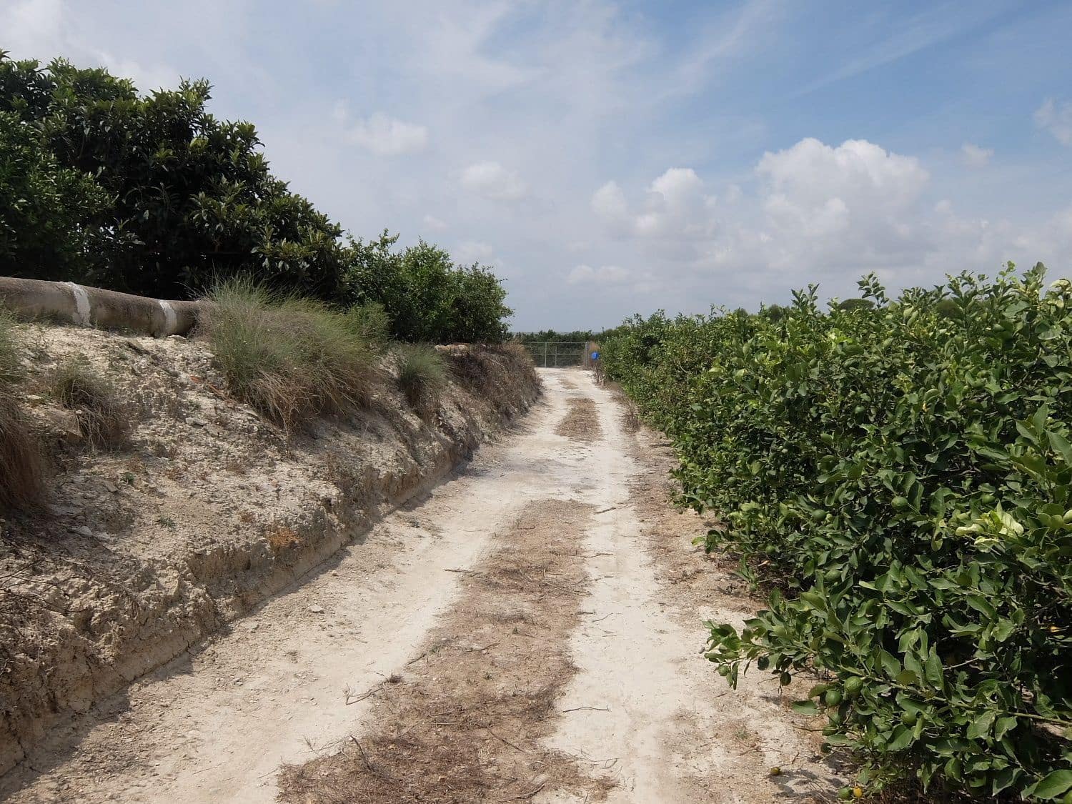 Grunde uden byggetilladelser til salg i San Miguel de Salinas - € 585.000 (Ref: 5469539)