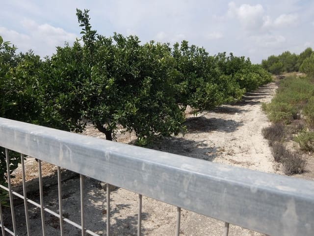 Grond te koop in San Miguel de Salinas - € 585.000 (Ref: 5469539)