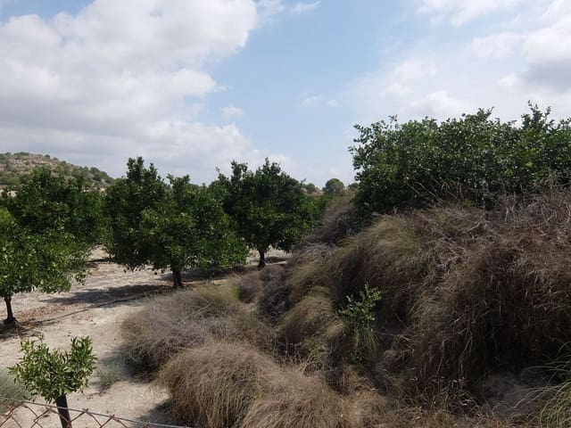 Grond te koop in San Miguel de Salinas - € 585.000 (Ref: 5469539)