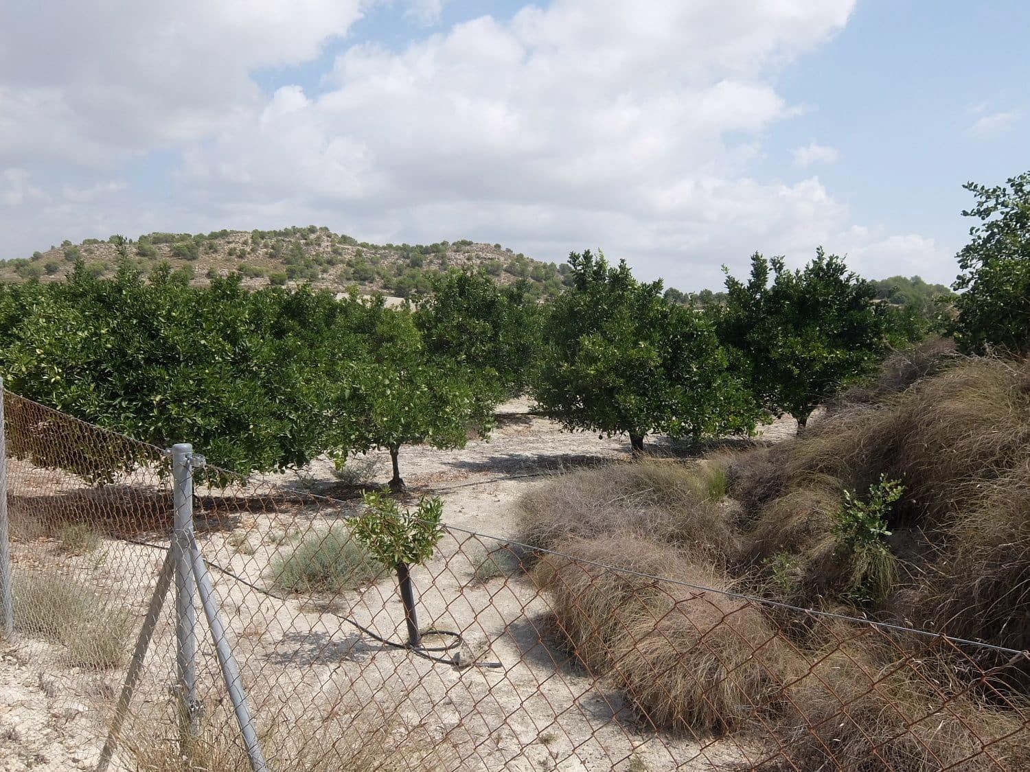 Grunde uden byggetilladelser til salg i San Miguel de Salinas - € 585.000 (Ref: 5469539)