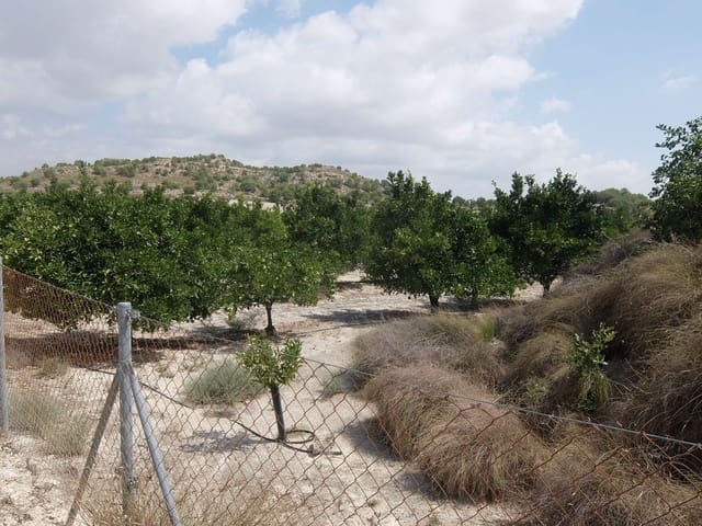 Grond te koop in San Miguel de Salinas - € 585.000 (Ref: 5469539)