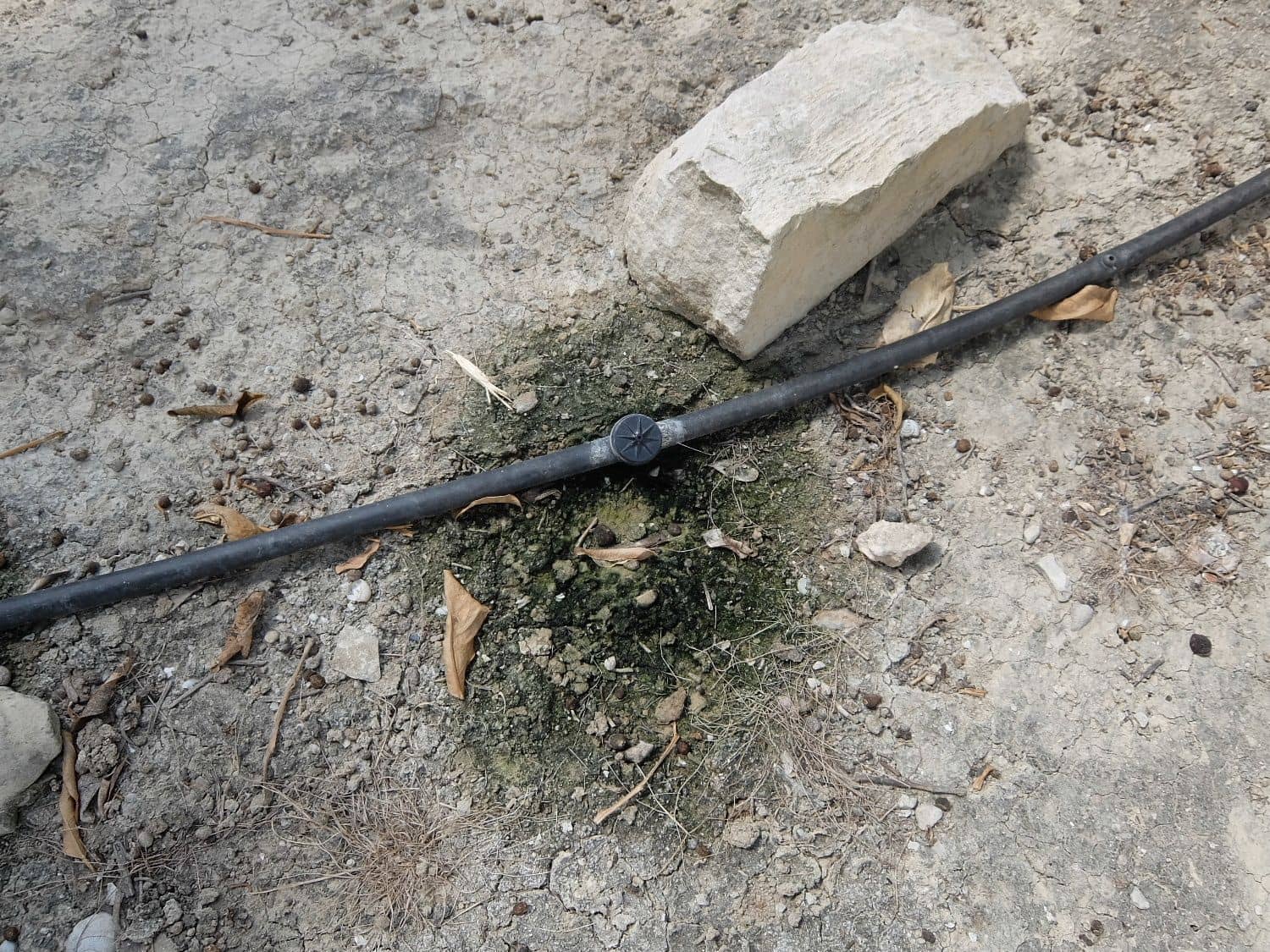 Grunde uden byggetilladelser til salg i San Miguel de Salinas - € 585.000 (Ref: 5469539)