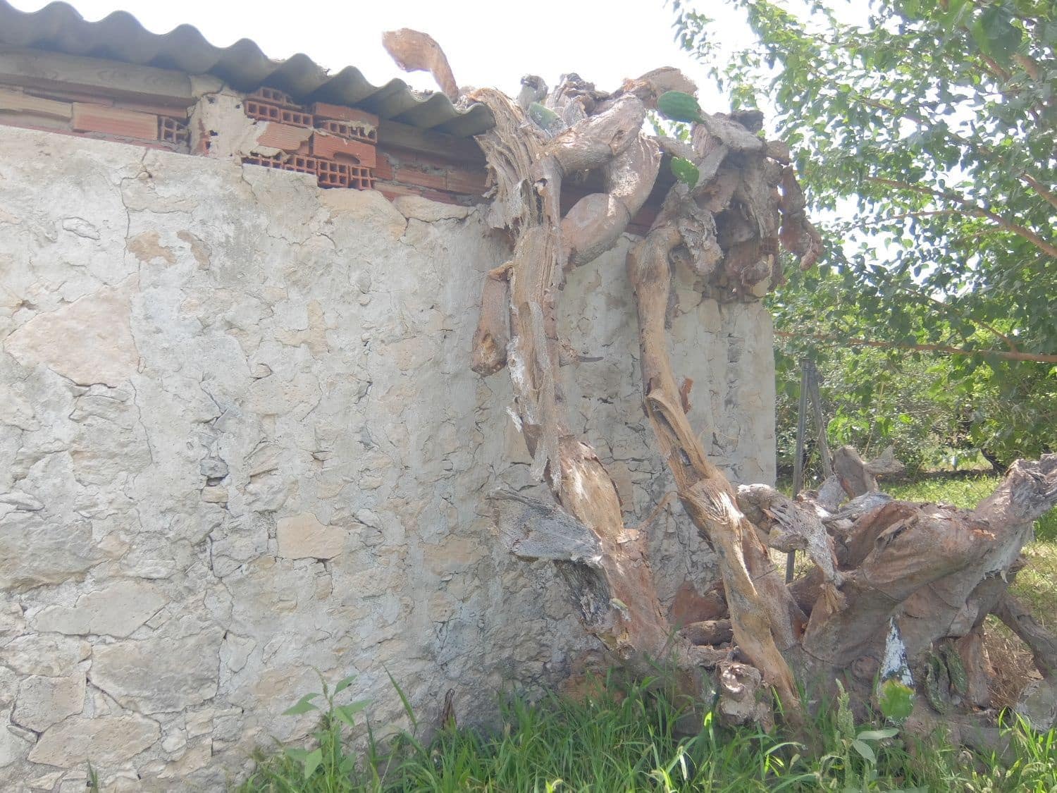 4 soveværelse Finca/Landehus til salg i Jacarilla med garage - € 220.000 (Ref: 5469540)