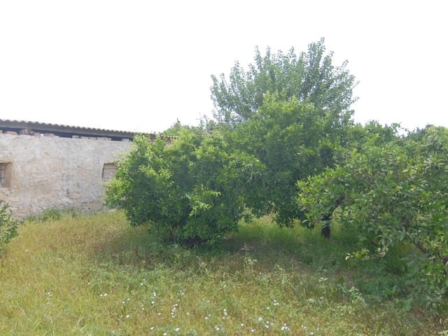 4 sypialnia Finka/Dom wiejski na sprzedaż w Jacarilla z garażem - 220 000 € (Ref: 5469540)