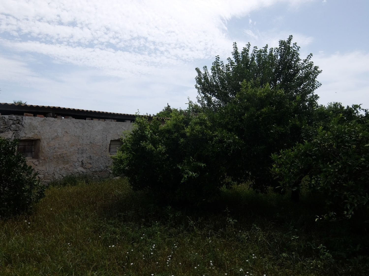 4 soveværelse Finca/Landehus til salg i Jacarilla med garage - € 220.000 (Ref: 5469540)