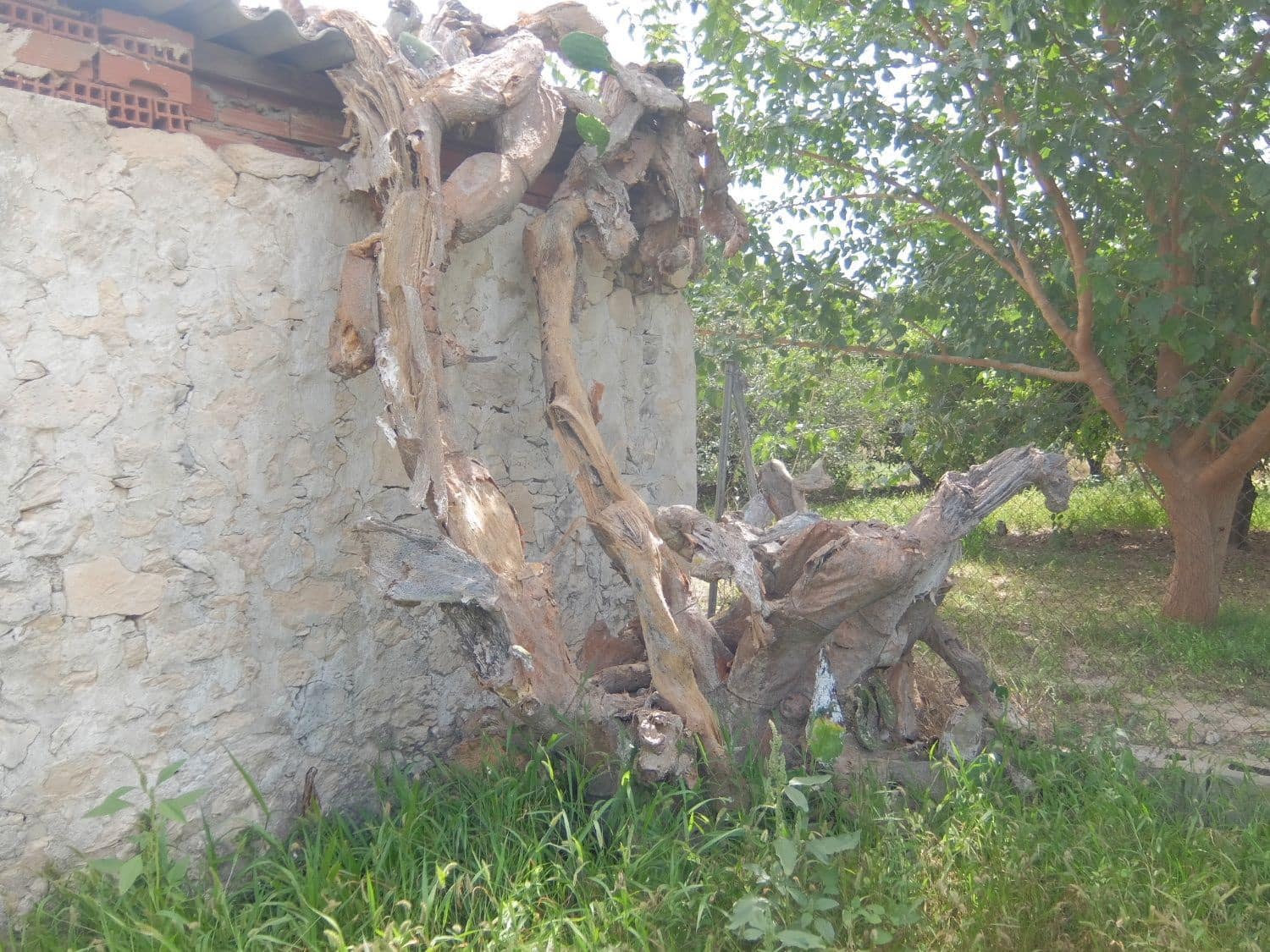 4 soveværelse Finca/Landehus til salg i Jacarilla med garage - € 220.000 (Ref: 5469540)