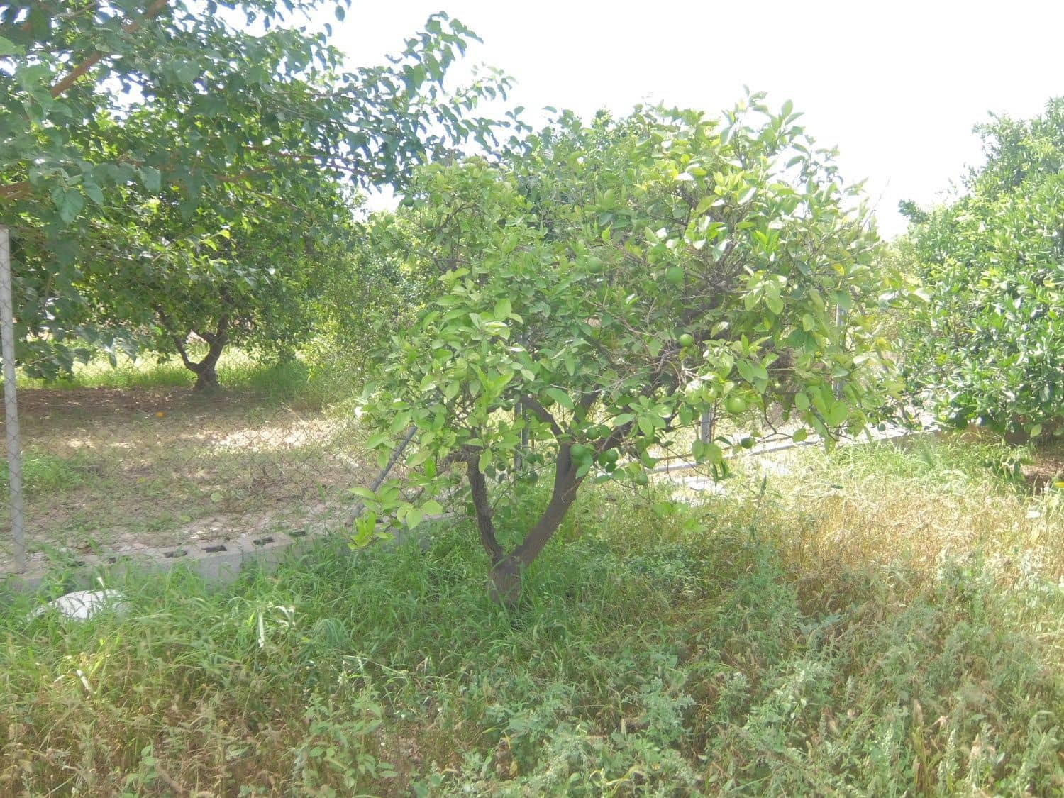 4 soveværelse Finca/Landehus til salg i Jacarilla med garage - € 220.000 (Ref: 5469540)