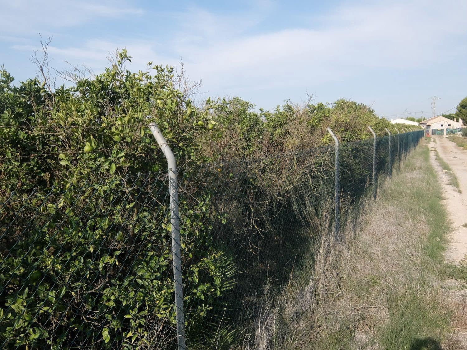 2 sypialnia Finka/Dom wiejski na sprzedaż w Formentera del Segura - 165 000 € (Ref: 5619181)