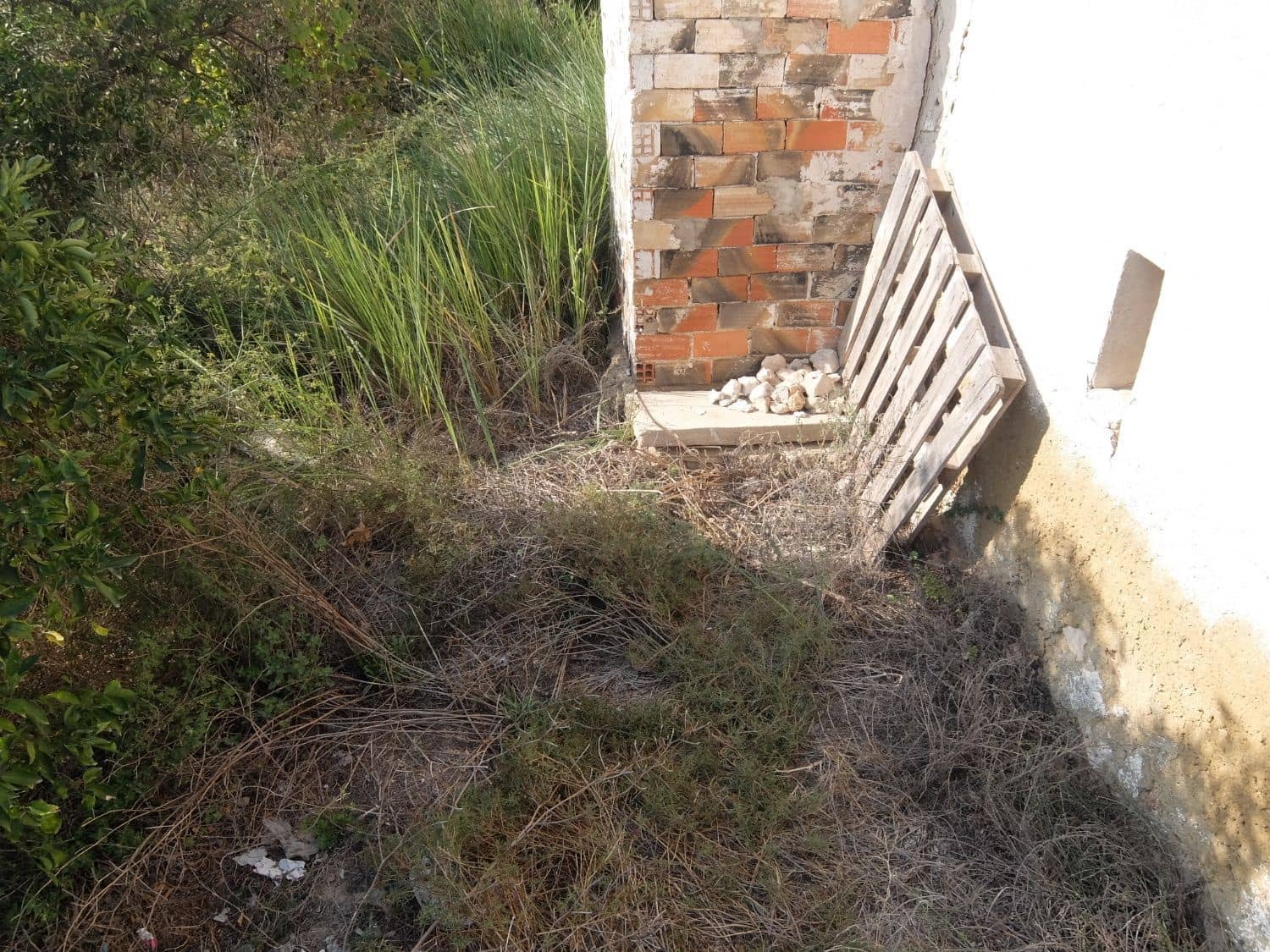 2 sypialnia Finka/Dom wiejski na sprzedaż w Formentera del Segura - 165 000 € (Ref: 5619181)