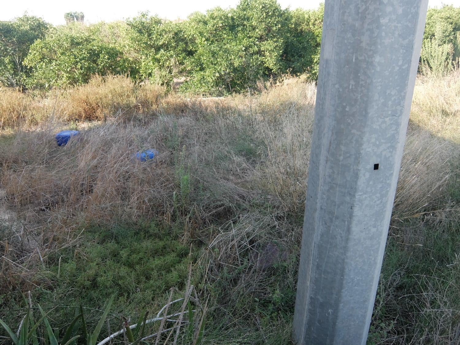 2 sypialnia Finka/Dom wiejski na sprzedaż w Formentera del Segura - 165 000 € (Ref: 5619181)