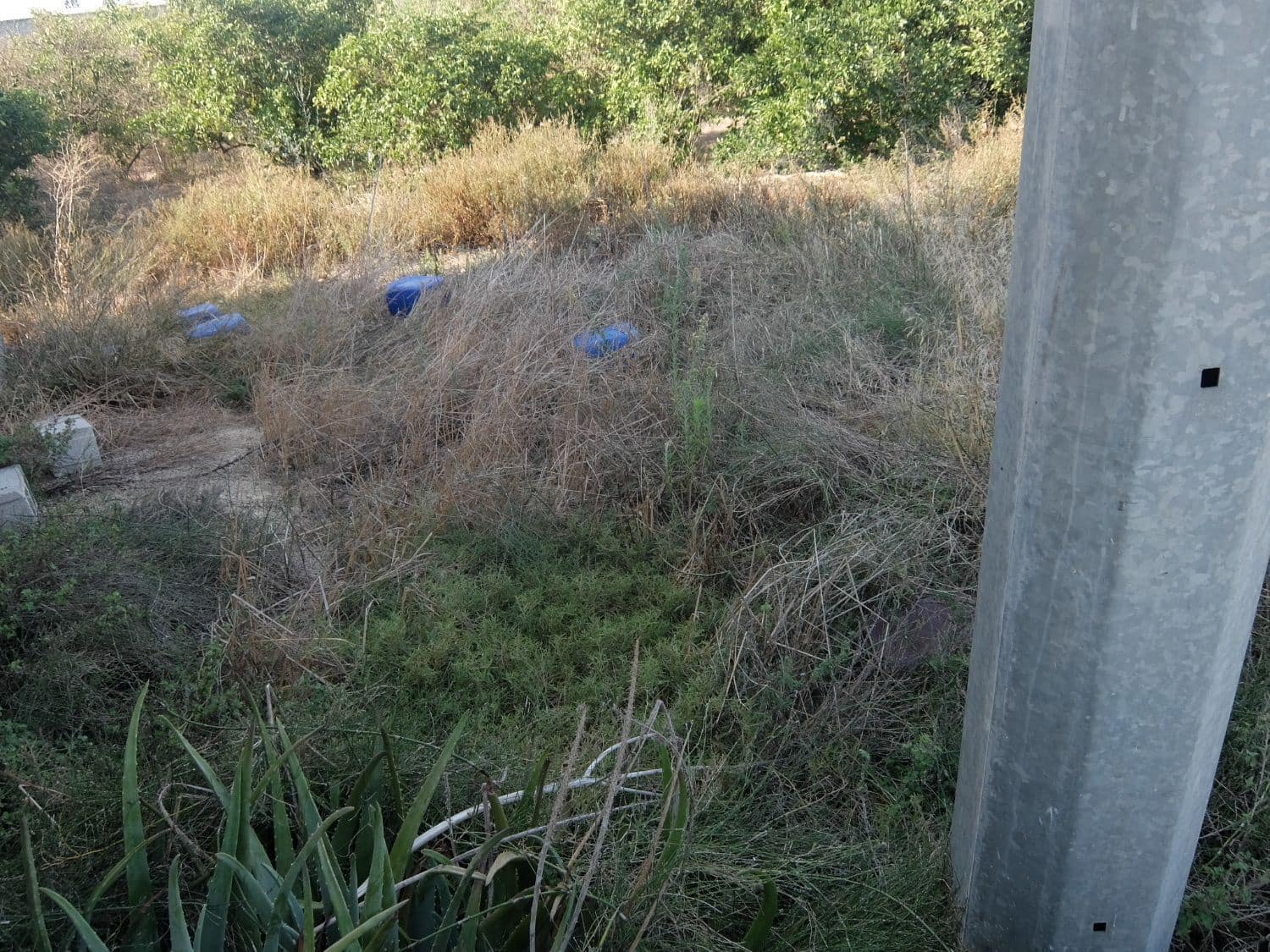 2 sypialnia Finka/Dom wiejski na sprzedaż w Formentera del Segura - 165 000 € (Ref: 5619181)