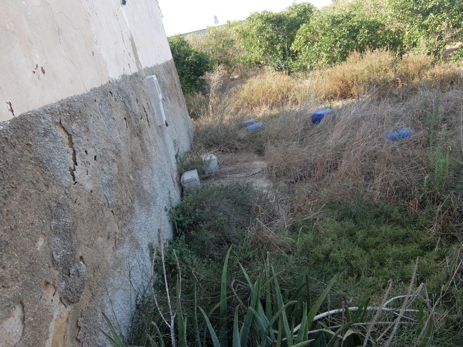 2 sypialnia Finka/Dom wiejski na sprzedaż w Formentera del Segura - 165 000 € (Ref: 5619181)