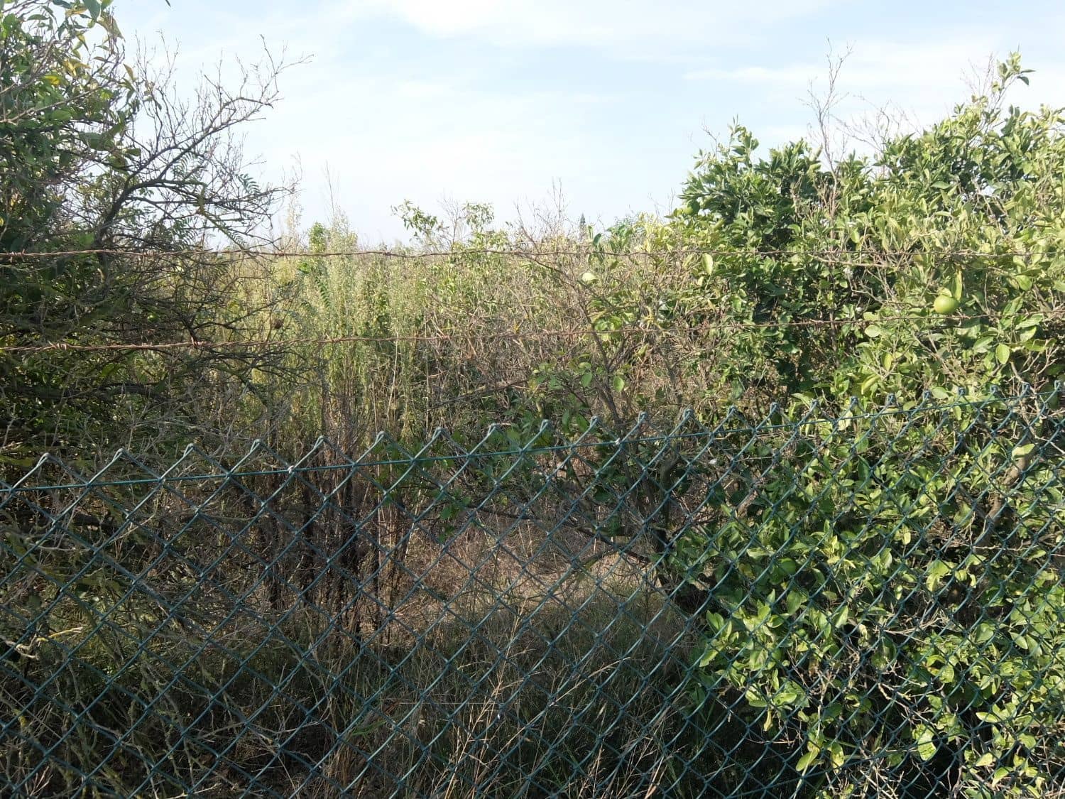 2 sypialnia Finka/Dom wiejski na sprzedaż w Formentera del Segura - 165 000 € (Ref: 5619181)