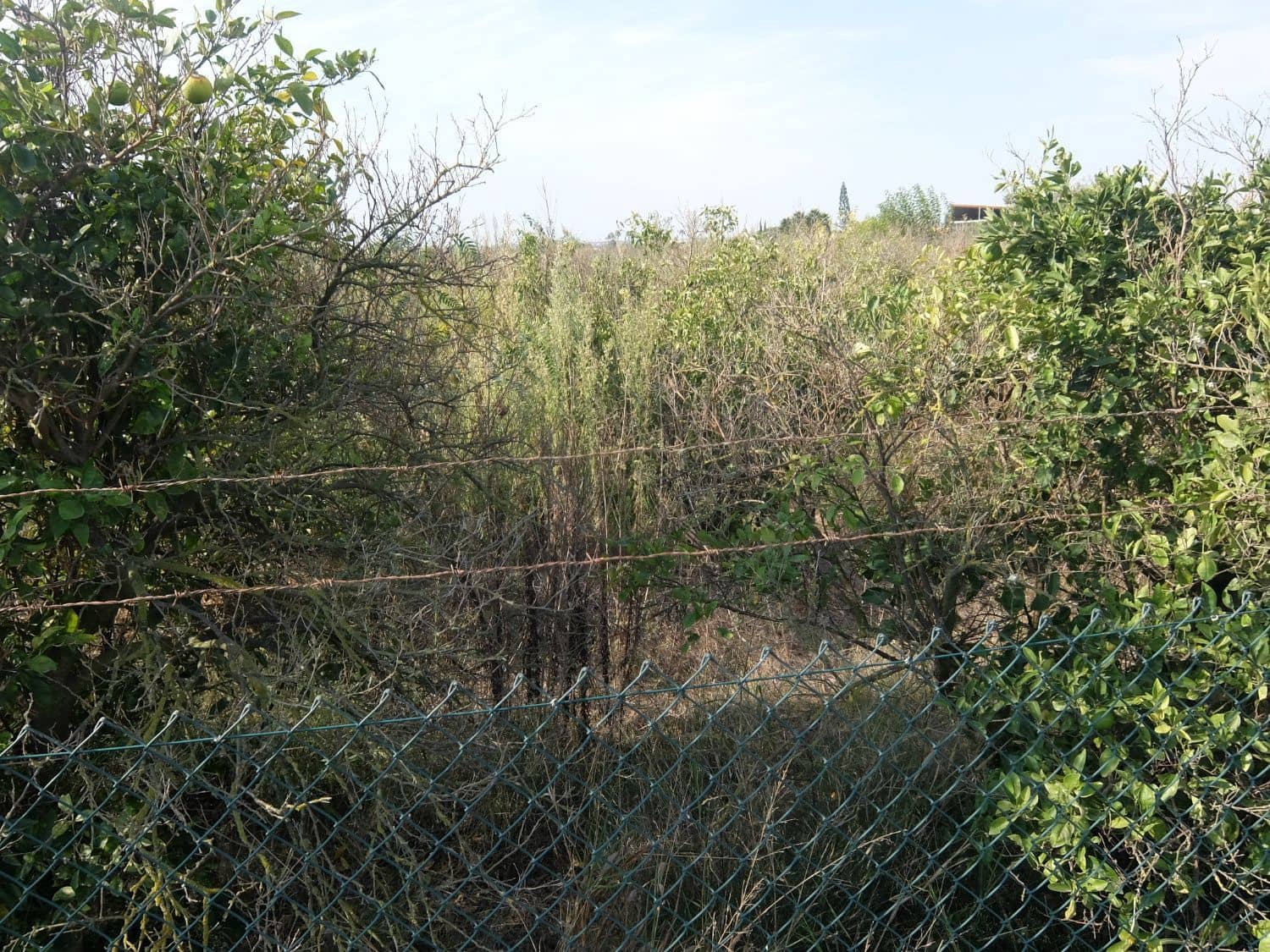 2 sypialnia Finka/Dom wiejski na sprzedaż w Formentera del Segura - 165 000 € (Ref: 5619181)