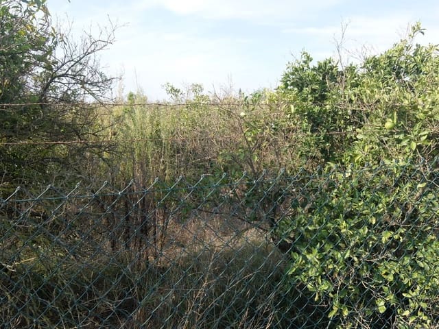 2 quarto Quinta/Casa Rural para venda em Formentera del Segura - 165 000 € (Ref: 5619181)