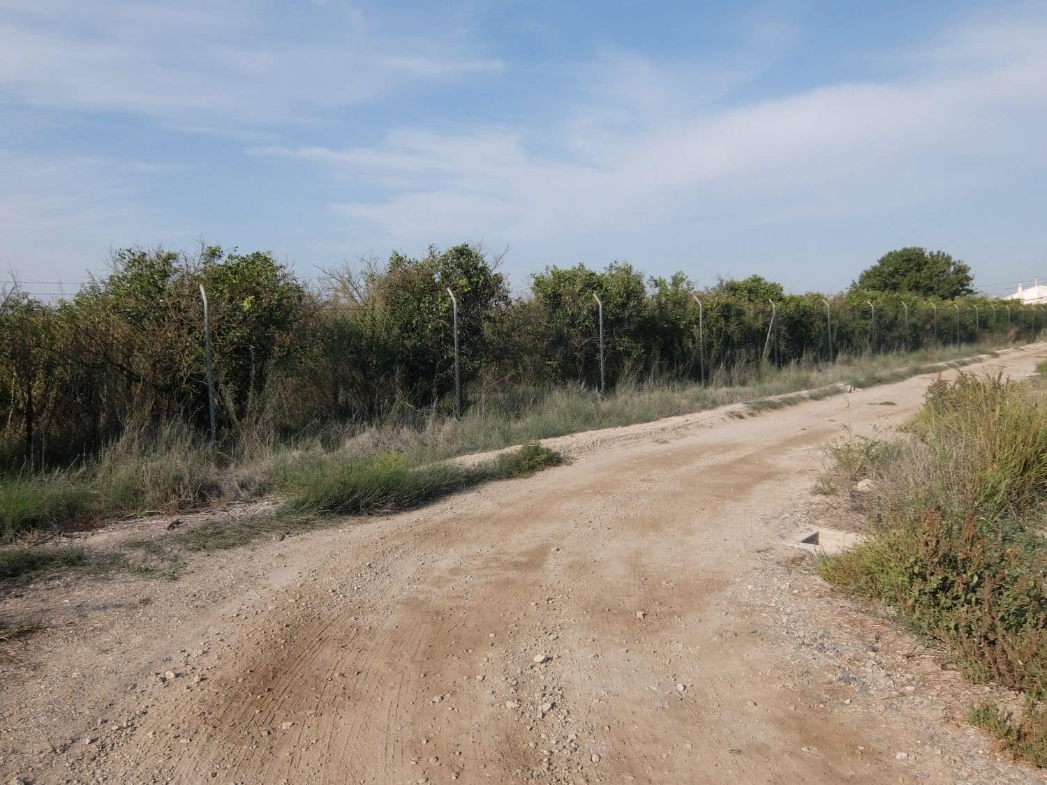 2 sypialnia Finka/Dom wiejski na sprzedaż w Formentera del Segura - 165 000 € (Ref: 5619181)