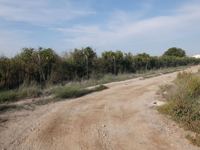 2 quarto Quinta/Casa Rural para venda em Formentera del Segura - 165 000 € (Ref: 5619181)