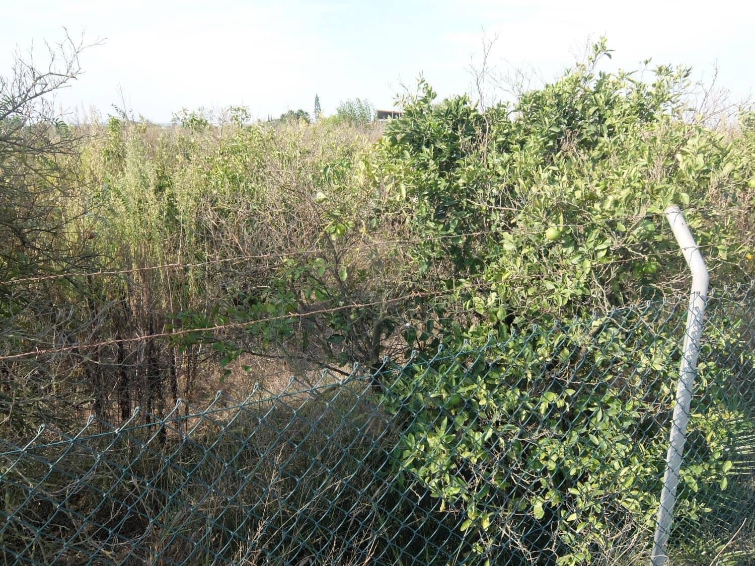 2 sypialnia Finka/Dom wiejski na sprzedaż w Formentera del Segura - 165 000 € (Ref: 5619181)