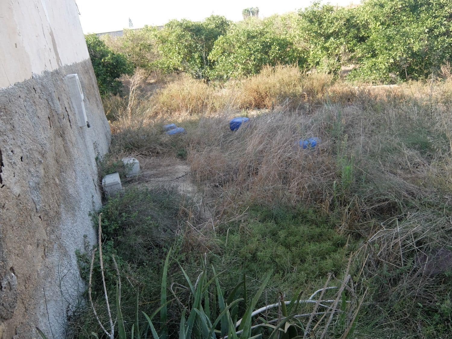 2 sypialnia Finka/Dom wiejski na sprzedaż w Formentera del Segura - 165 000 € (Ref: 5619181)