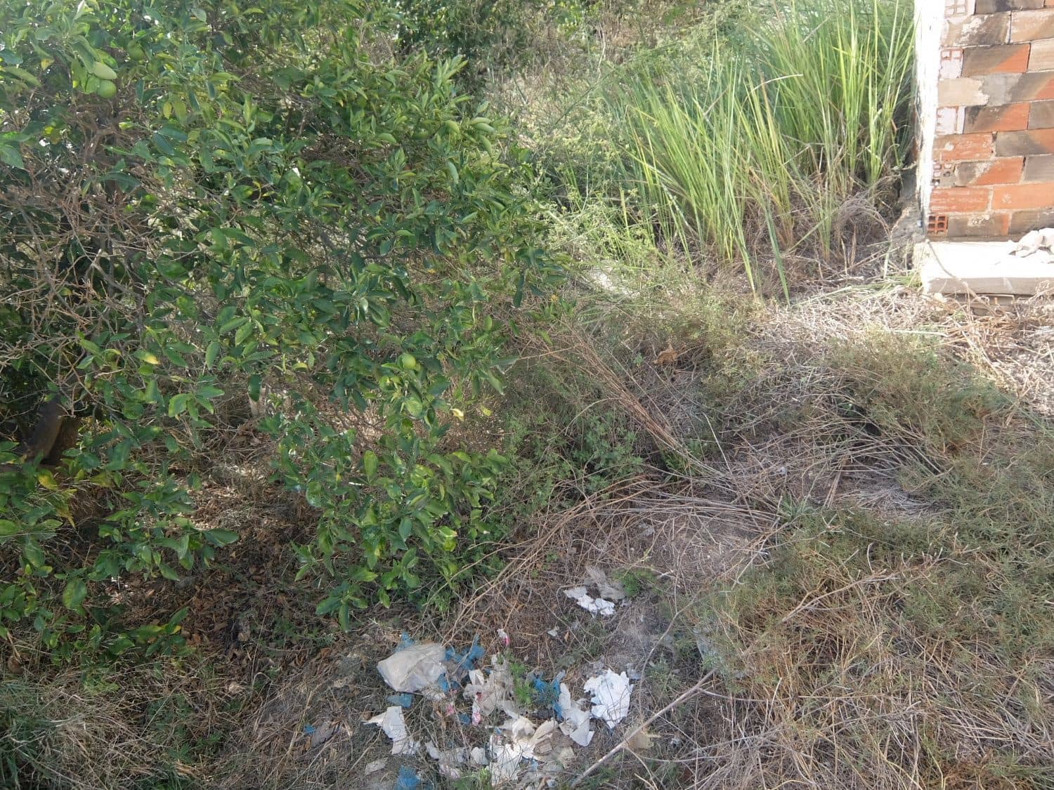 2 sypialnia Finka/Dom wiejski na sprzedaż w Formentera del Segura - 165 000 € (Ref: 5619181)