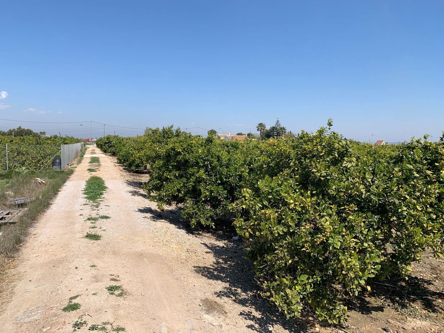 Grunde uden byggetilladelser til salg i Formentera del Segura - € 89.000 (Ref: 5990868)