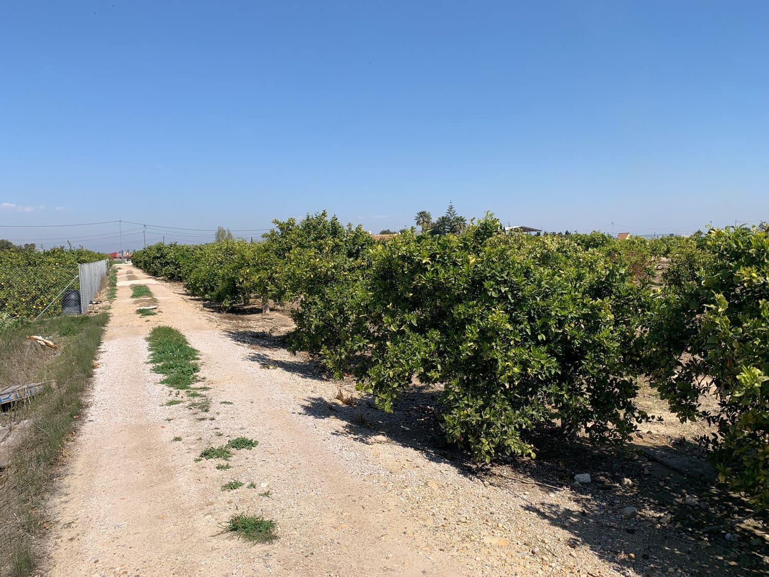 Grunde uden byggetilladelser til salg i Formentera del Segura - € 89.000 (Ref: 5990868)