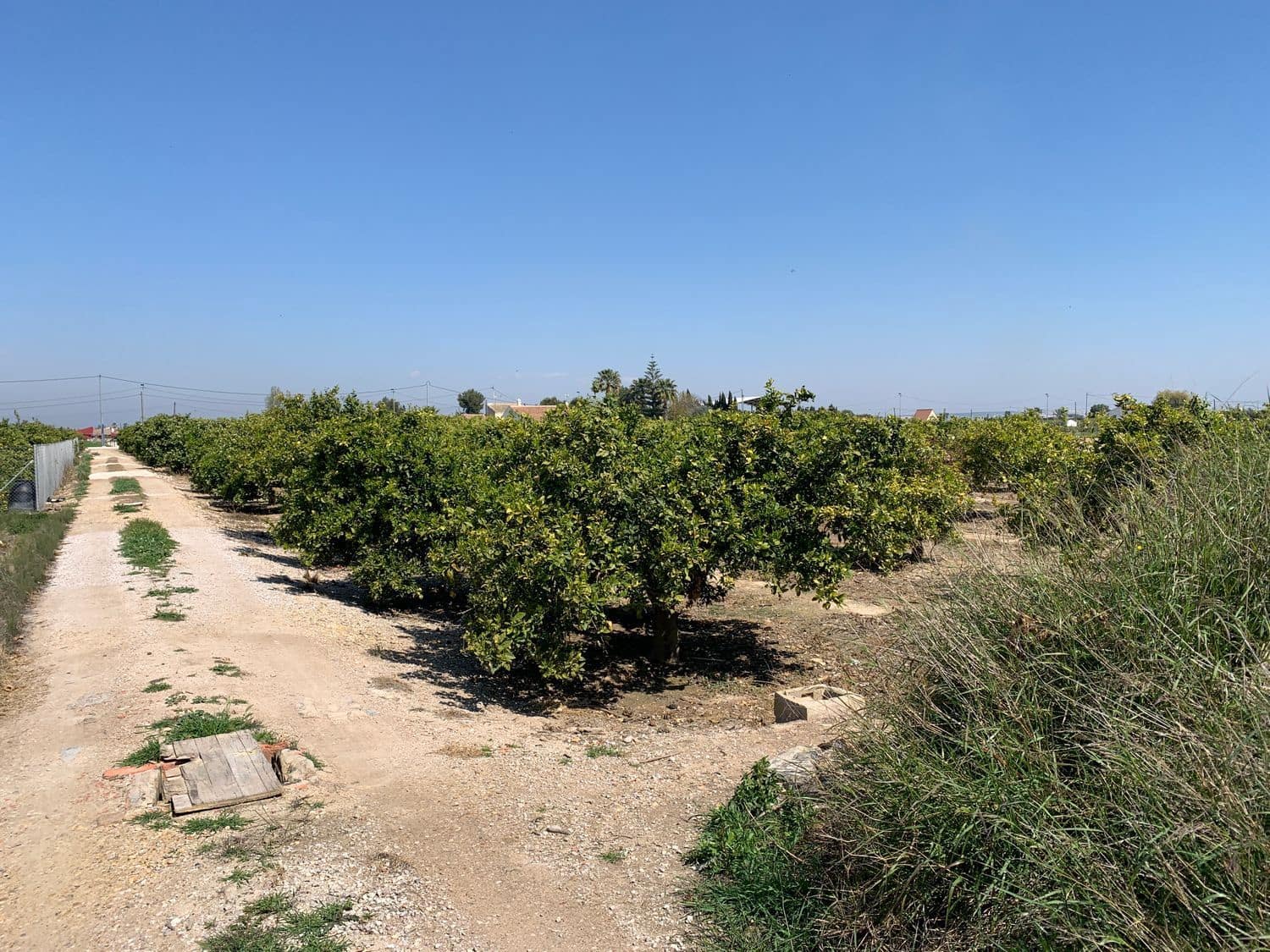 Grunde uden byggetilladelser til salg i Formentera del Segura - € 89.000 (Ref: 5990868)