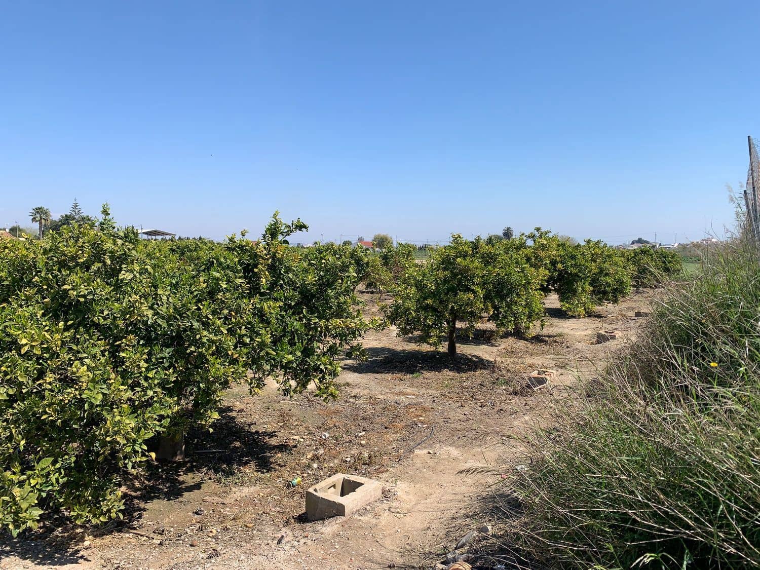 Grunde uden byggetilladelser til salg i Formentera del Segura - € 89.000 (Ref: 5990868)