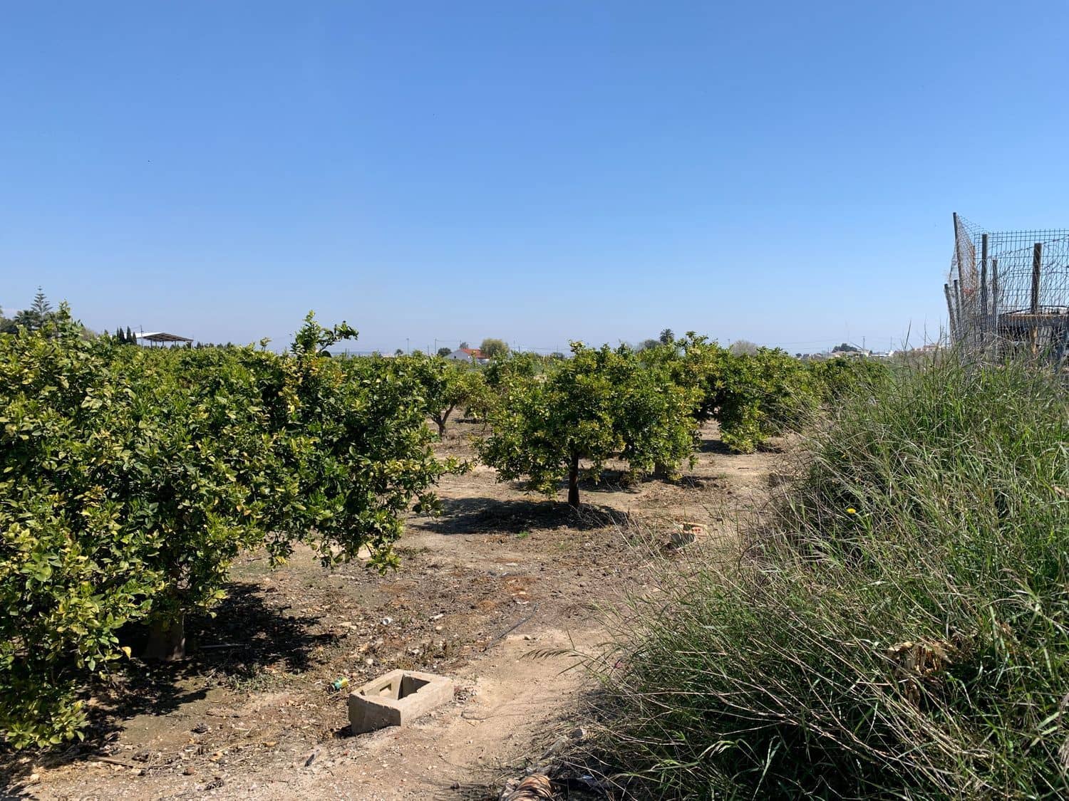 Grunde uden byggetilladelser til salg i Formentera del Segura - € 89.000 (Ref: 5990868)