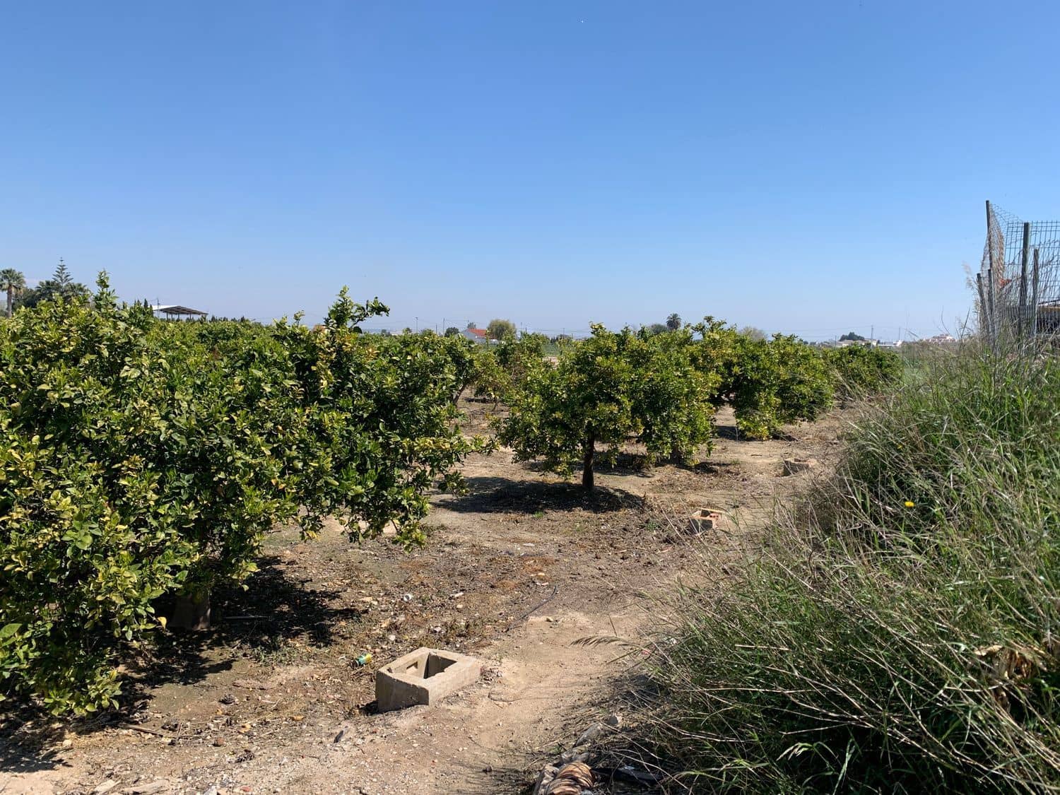 Grunde uden byggetilladelser til salg i Formentera del Segura - € 89.000 (Ref: 5990868)