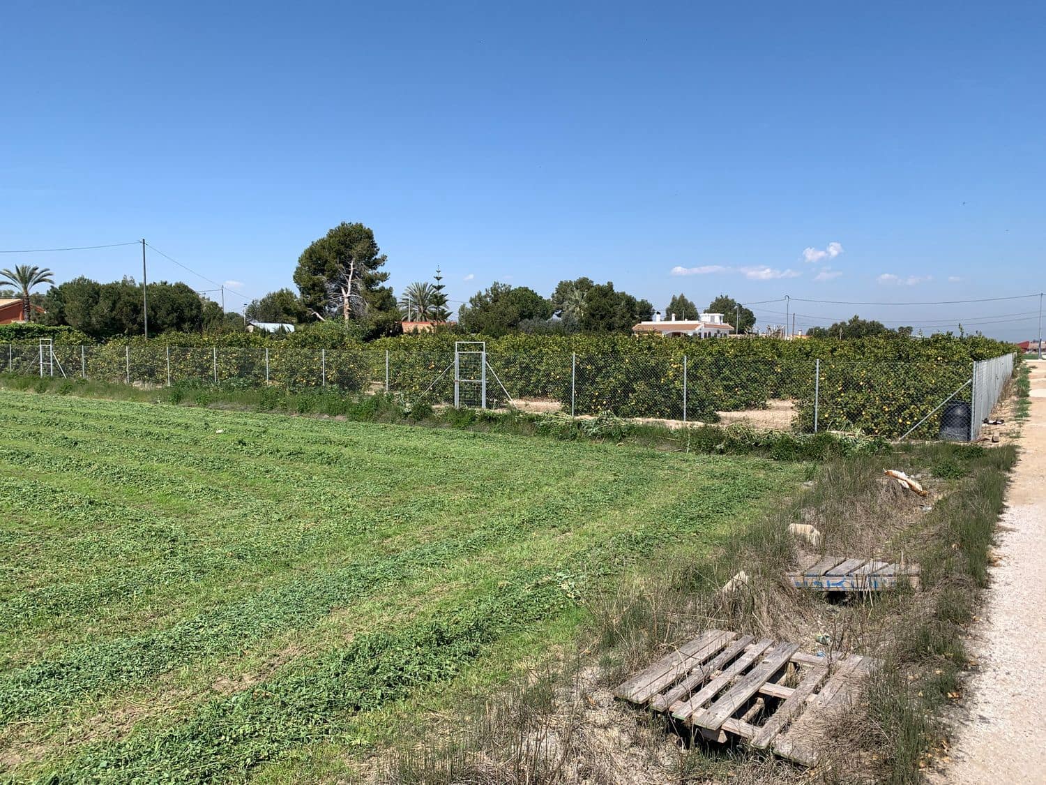 Grunde uden byggetilladelser til salg i Formentera del Segura - € 89.000 (Ref: 5990868)