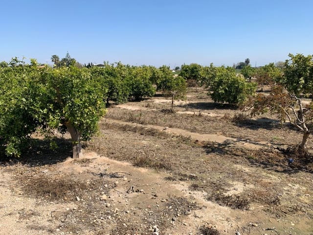 Grond te koop in Formentera del Segura - € 89.000 (Ref: 5990868)